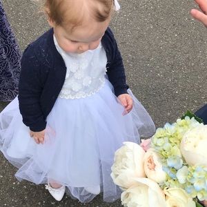 Cornflower Blue Formal Dress size 18months